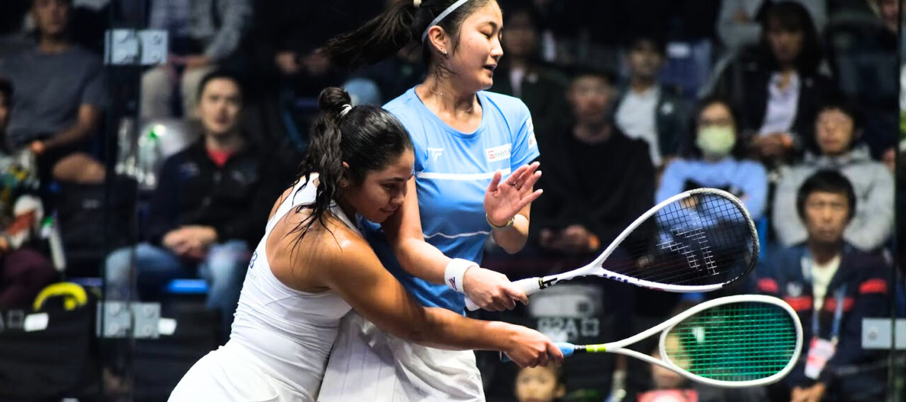 WSO partners with DigiMithril to bring AI into squash refereeing